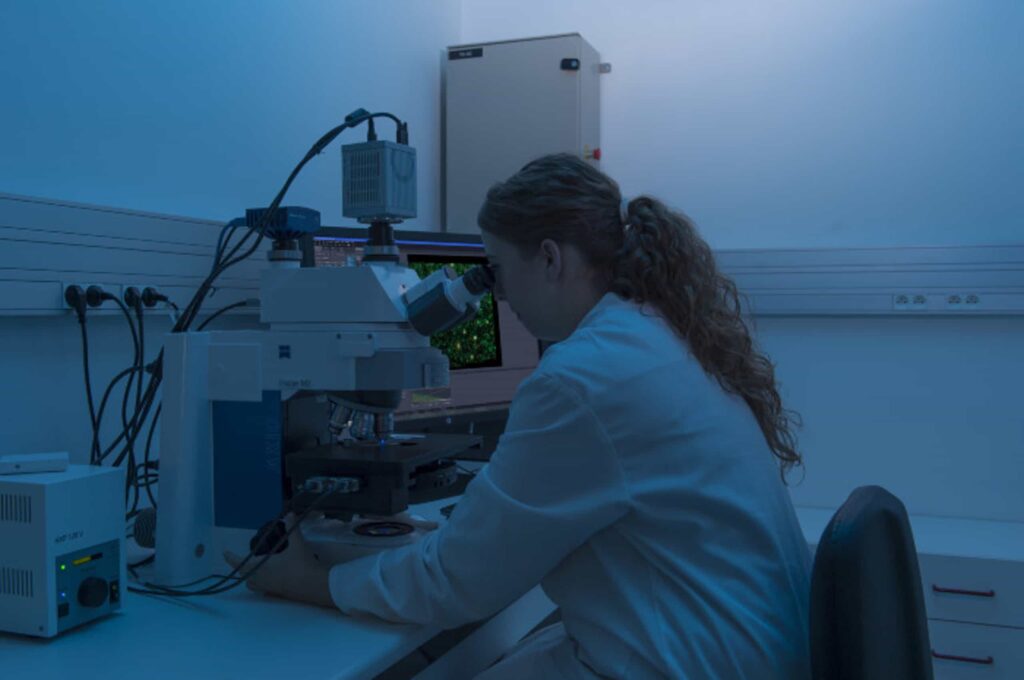 Photo Cyril Fresillon CNRS
