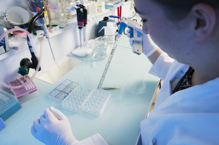 Photo Cyril Fresillon CNRS