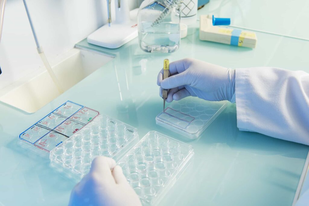 Photo Cyril Fresillon CNRS